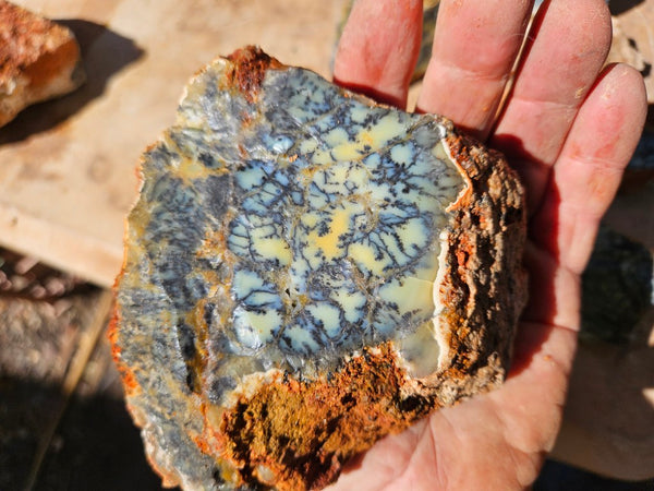 Dendritic Opal  rough.  DOR282