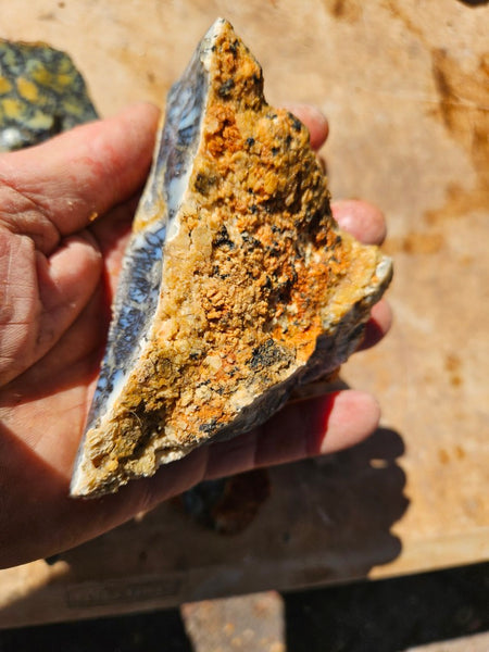 Dendritic Opal  rough.  DOR282