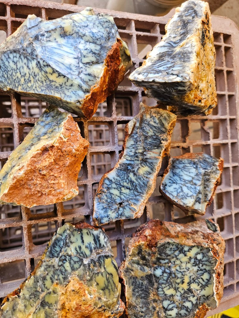 Dendritic Opal  rough.  DOR282