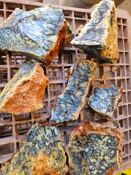 Dendritic Opal  rough.  DOR282