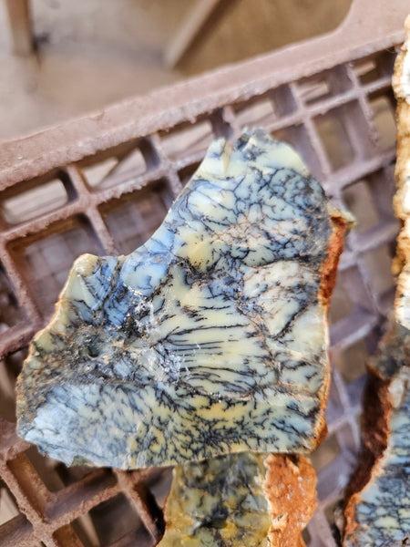 Dendritic Opal  rough.  DOR282