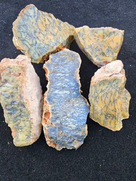 Dendritic Opal  rough.  DOR281