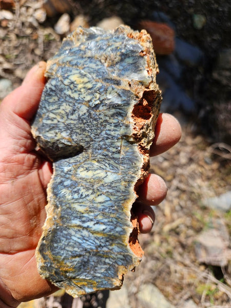 Dendritic Opal  rough.  DOR281