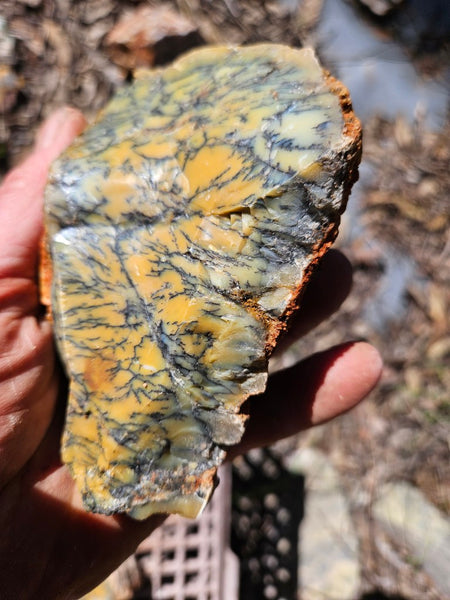 Dendritic Opal  rough.  DOR281