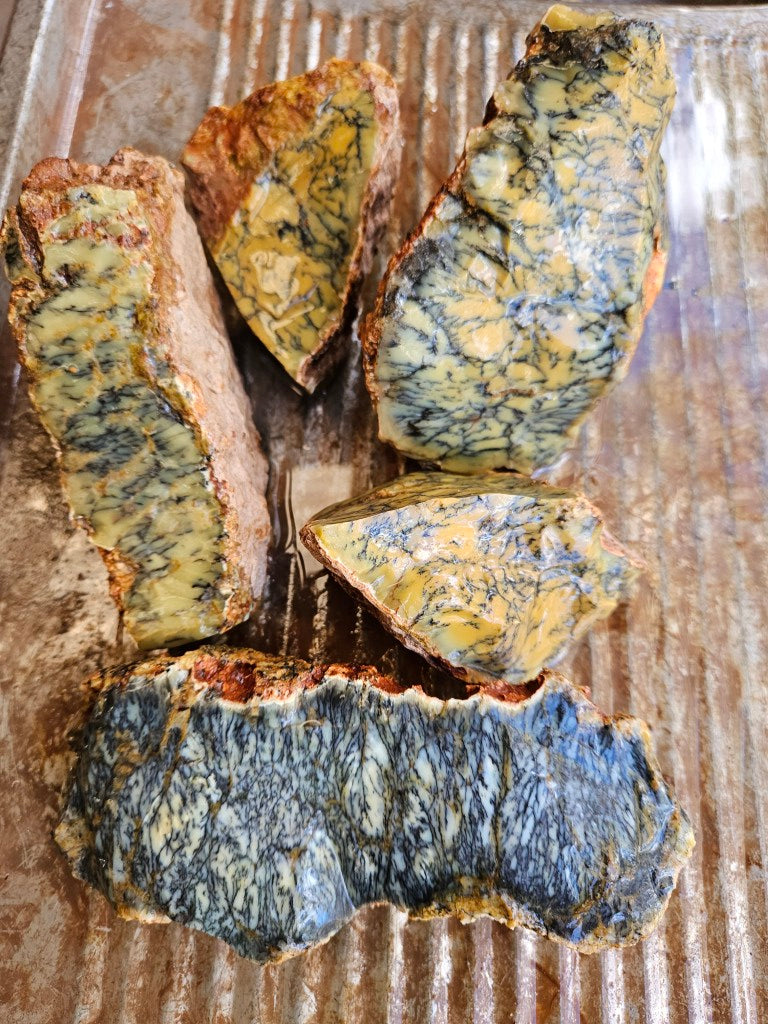 Dendritic Opal  rough.  DOR281