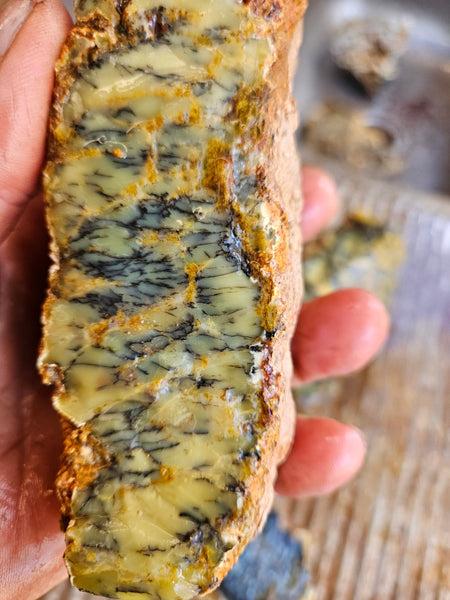 Dendritic Opal  rough.  DOR281