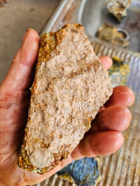 Dendritic Opal  rough.  DOR281
