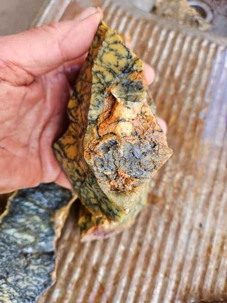 Dendritic Opal  rough.  DOR281