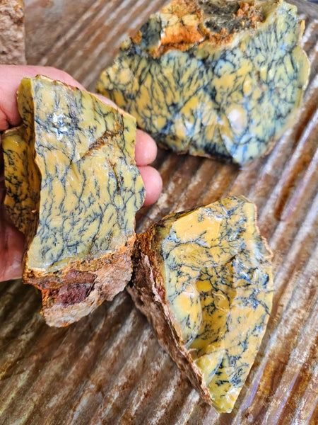 Dendritic Opal  rough.  DOR281