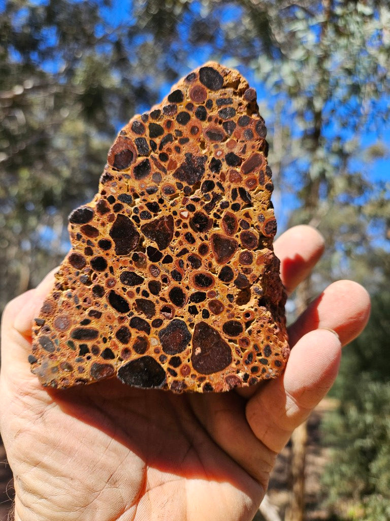 Polished Bauxite BAU137