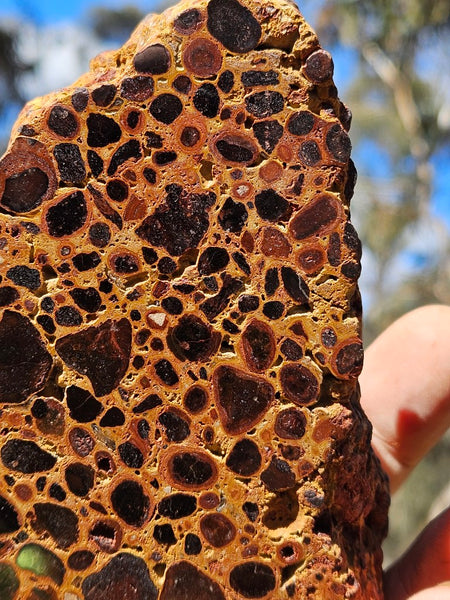 Polished Bauxite BAU137