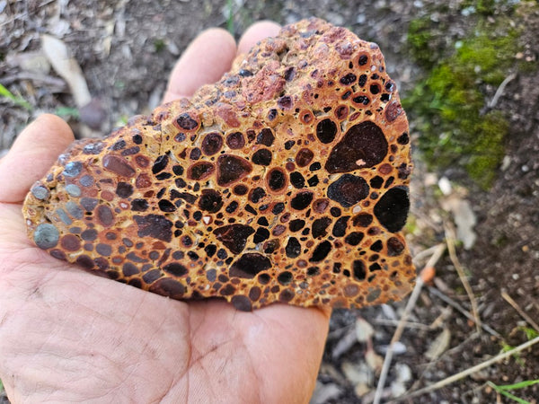 Polished Bauxite BAU137