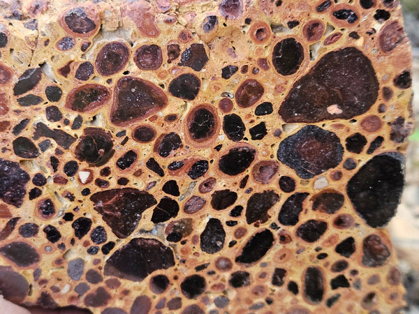 Polished Bauxite BAU137