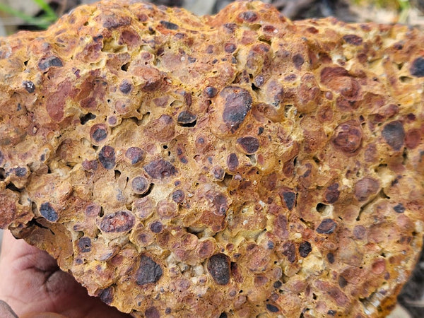 Polished Bauxite BAU137
