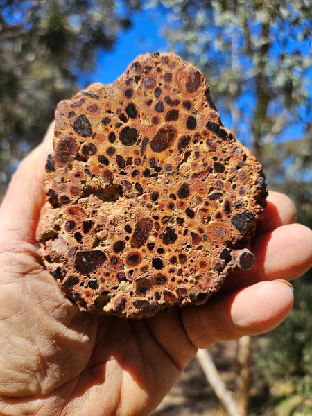 Polished Bauxite BAU136