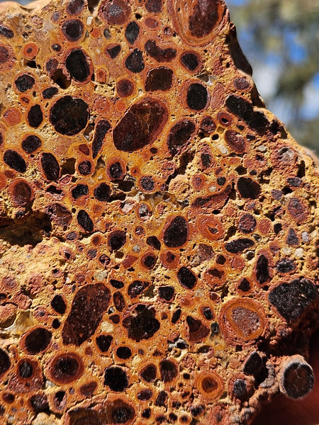 Polished Bauxite BAU136