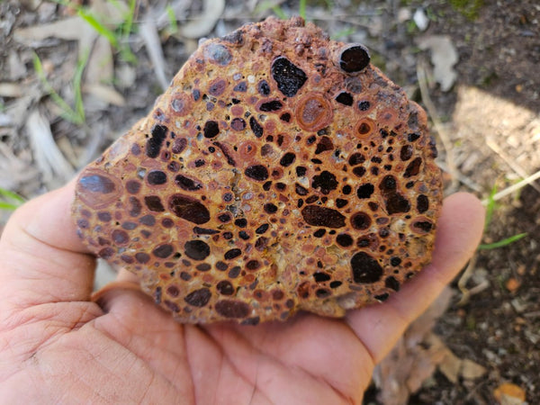 Polished Bauxite BAU136