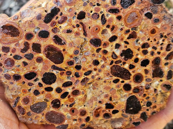 Polished Bauxite BAU136
