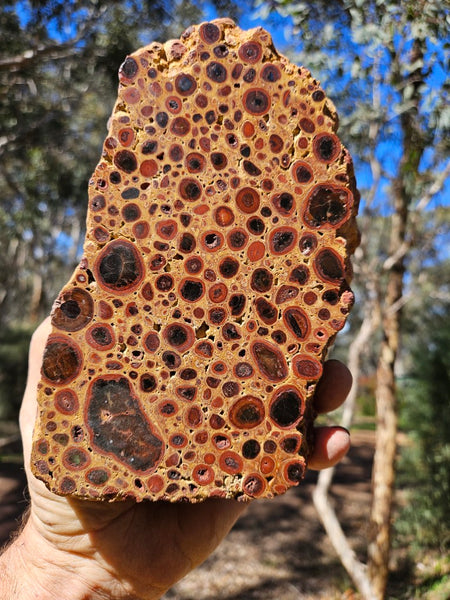 Polished Bauxite BAU134