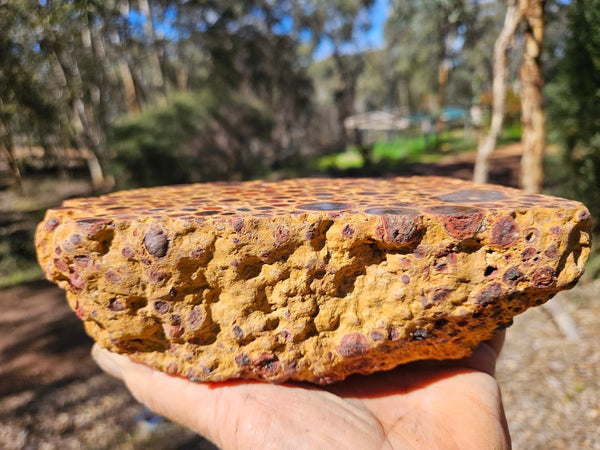 Polished Bauxite BAU134