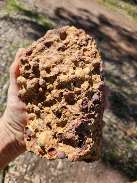 Polished Bauxite BAU134