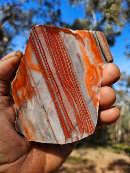 Polished Marble Bar Chert  slab MB131