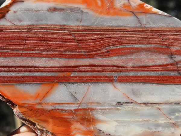 Polished Marble Bar Chert  slab MB131
