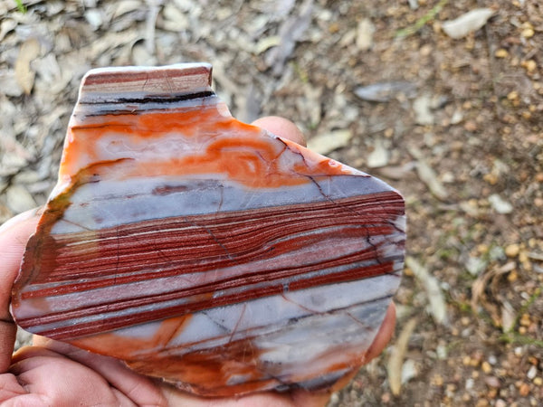 Polished Marble Bar Chert  slab MB131