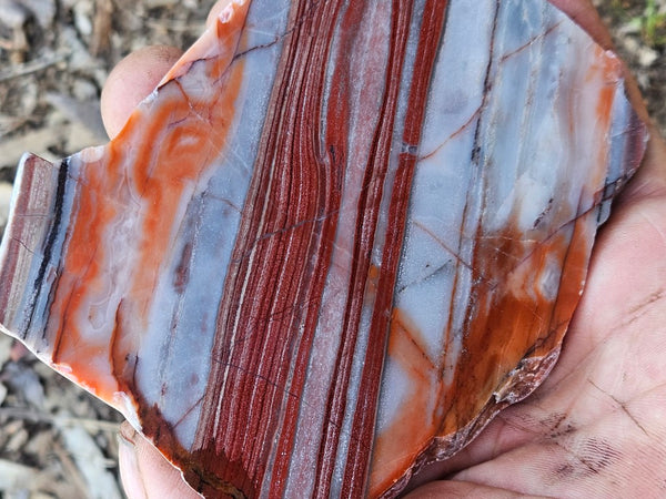 Polished Marble Bar Chert  slab MB131