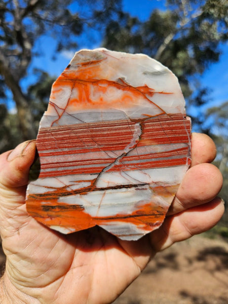 Polished Marble Bar Chert  slab MB132