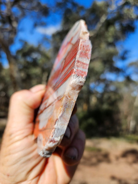 Polished Marble Bar Chert  slab MB132