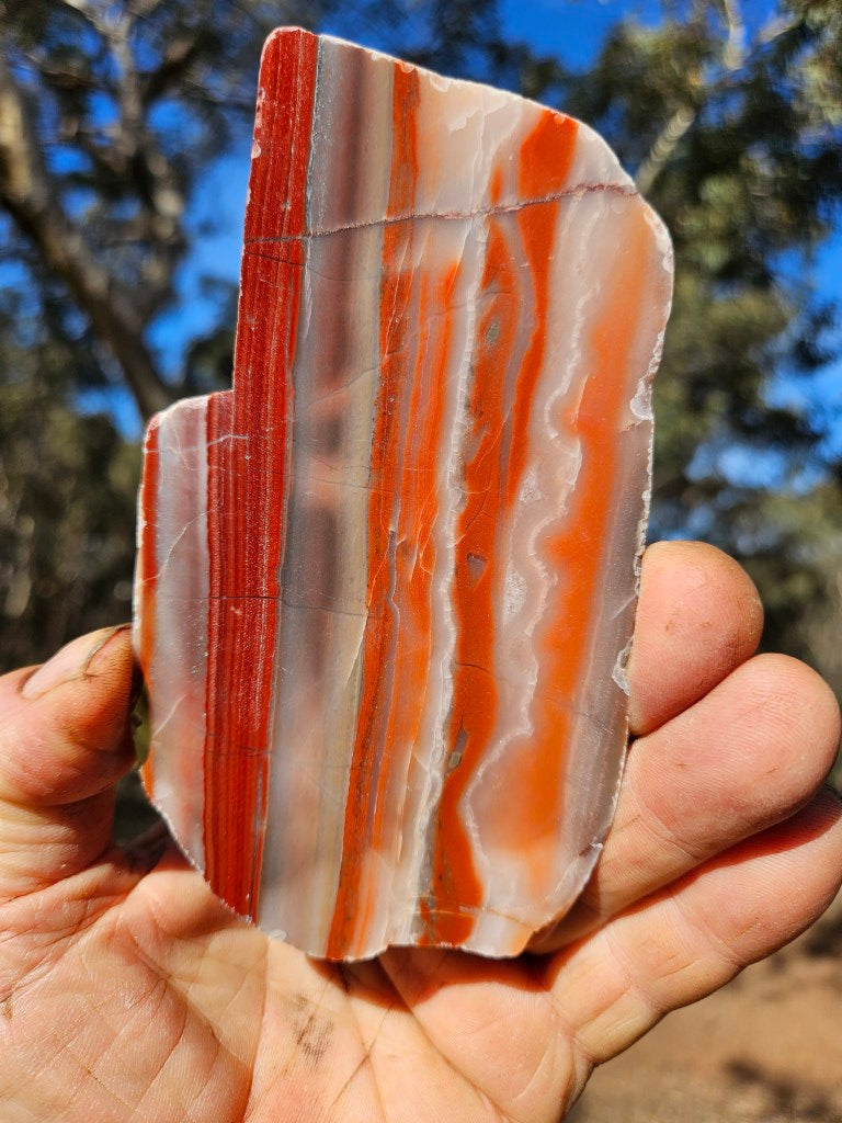 Polished Marble Bar Chert  slab MB133
