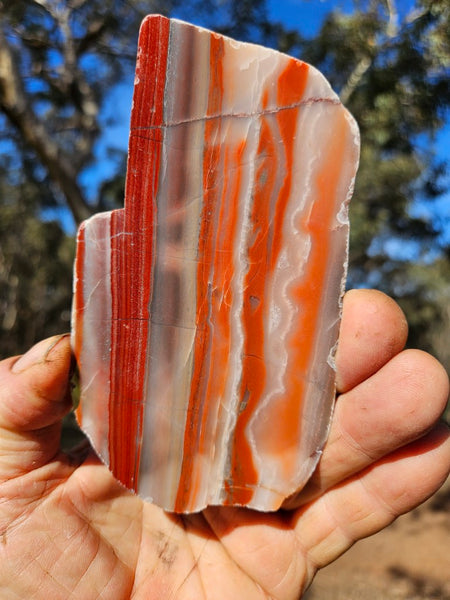 Polished Marble Bar Chert  slab MB133