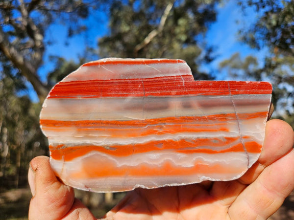 Polished Marble Bar Chert  slab MB133