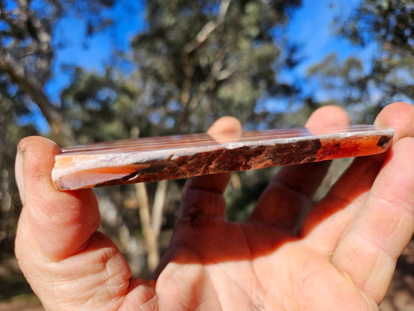 Polished Marble Bar Chert  slab MB133