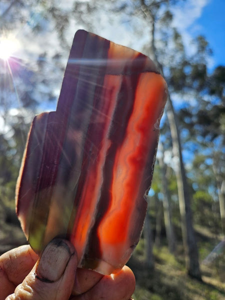 Polished Marble Bar Chert  slab MB133