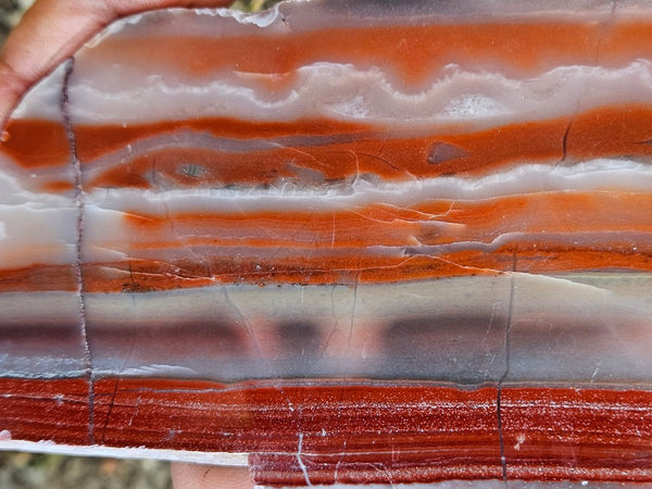 Polished Marble Bar Chert  slab MB133