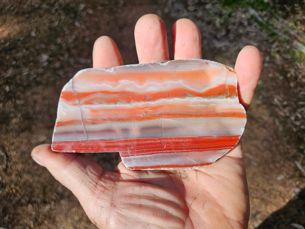 Polished Marble Bar Chert  slab MB133