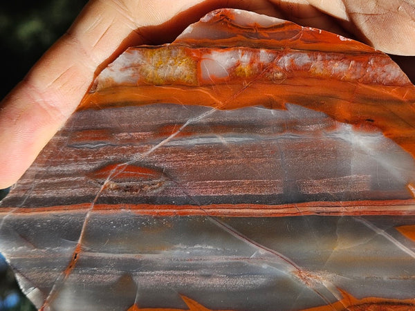 Polished Marble Bar Chert  slab MB130