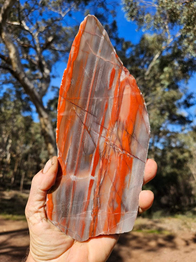 Polished Marble Bar Chert  slab MB129