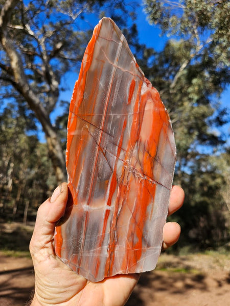 Polished Marble Bar Chert  slab MB129