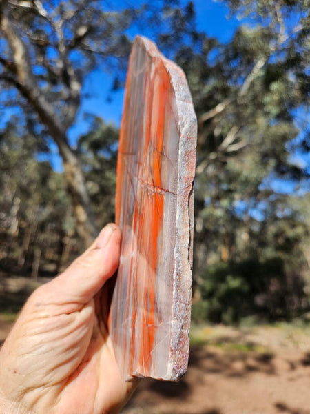 Polished Marble Bar Chert  slab MB129