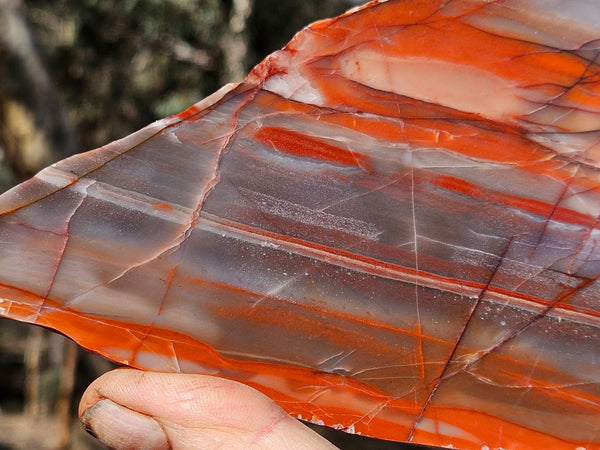 Polished Marble Bar Chert  slab MB129