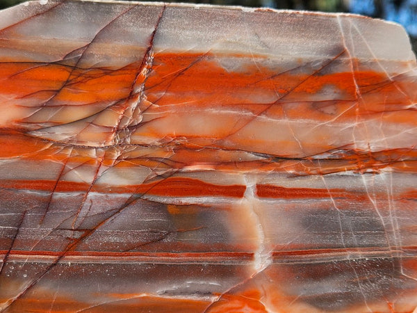 Polished Marble Bar Chert  slab MB129