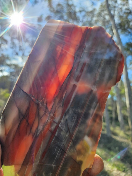 Polished Marble Bar Chert  slab MB129
