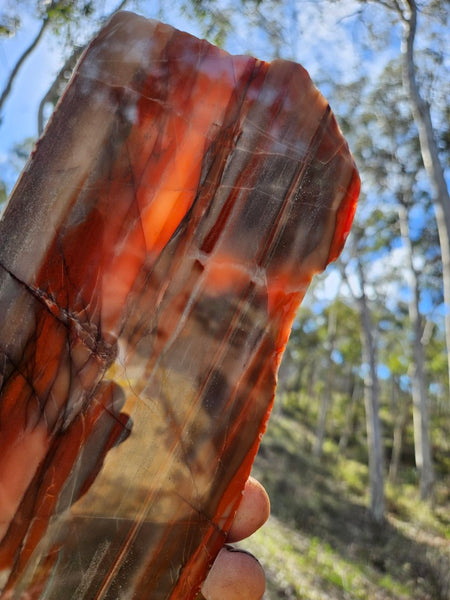 Polished Marble Bar Chert  slab MB129