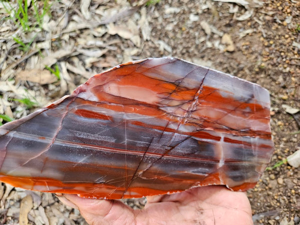 Polished Marble Bar Chert  slab MB129