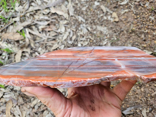 Polished Marble Bar Chert  slab MB129