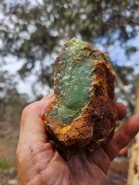 Chrysoprase rough.  CHR 219