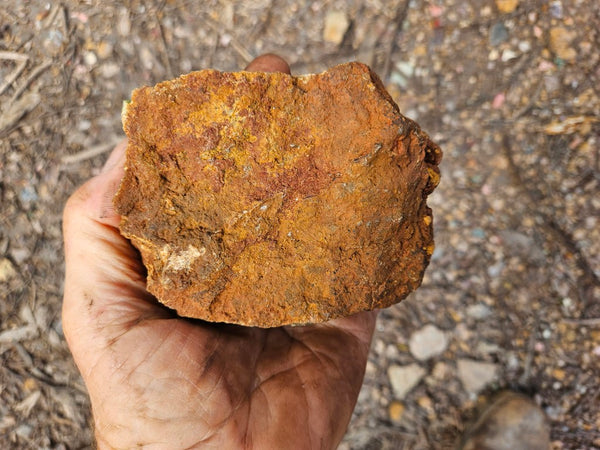 Chrysoprase rough.  CHR 219